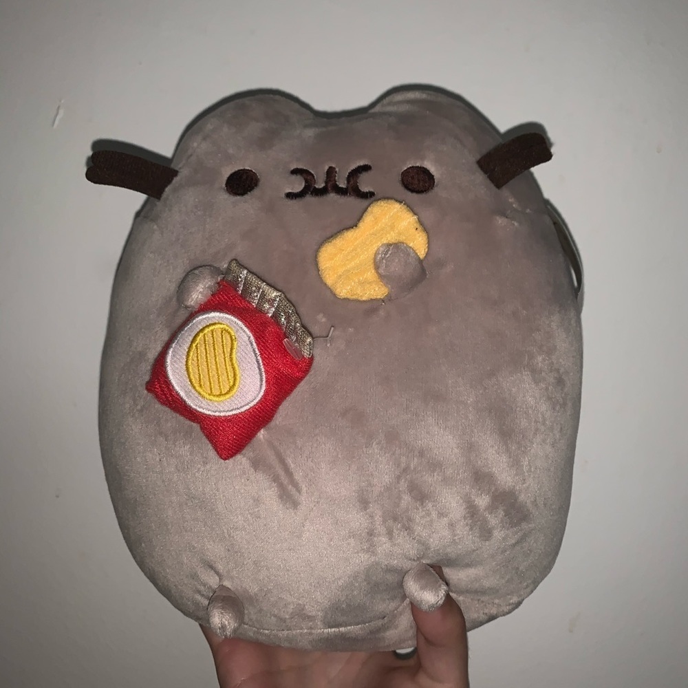 Pusheen chips